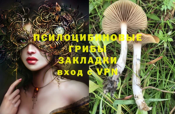 МДПВ Алзамай