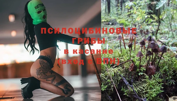 винт Алексеевка