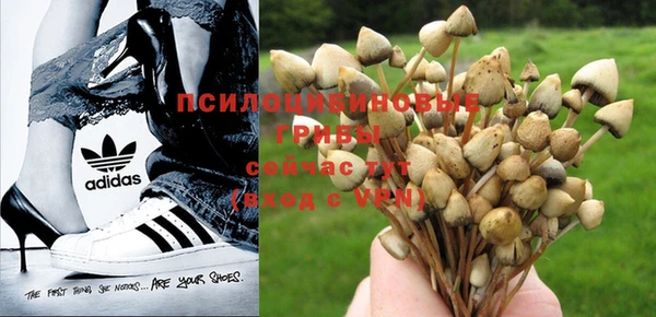 синтетический гашиш Абаза