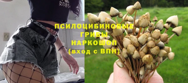 МДПВ Алзамай