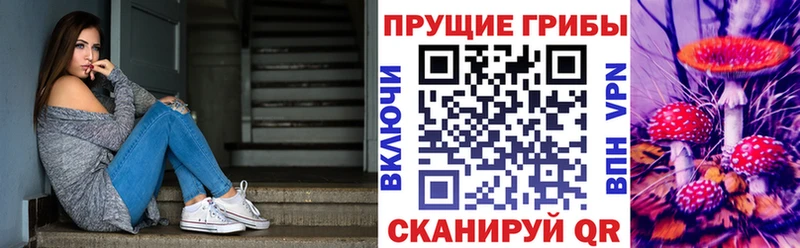 Псилоцибиновые грибы Cubensis  mega ссылка  Усть-Лабинск 